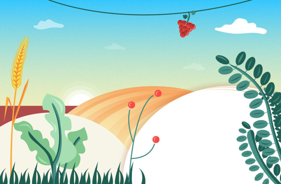 Illustration Blueprint projets Biochairs NEOMA